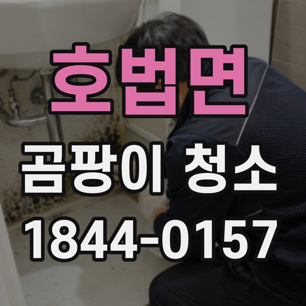 호법면 곰팡이 청소