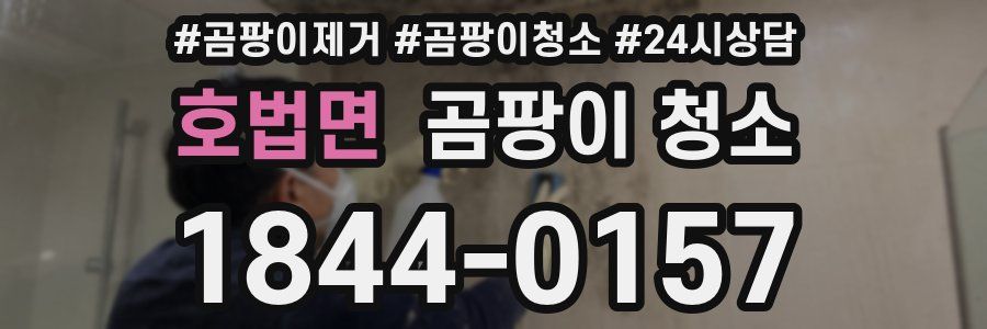 호법면 곰팡이 청소