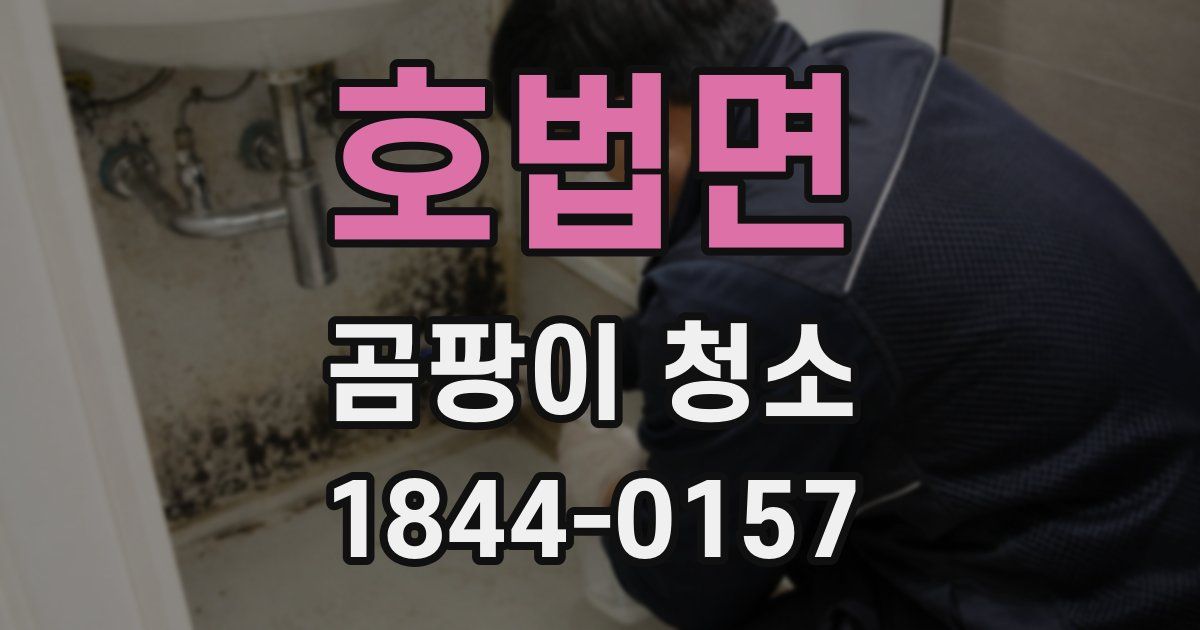 호법면 곰팡이 청소