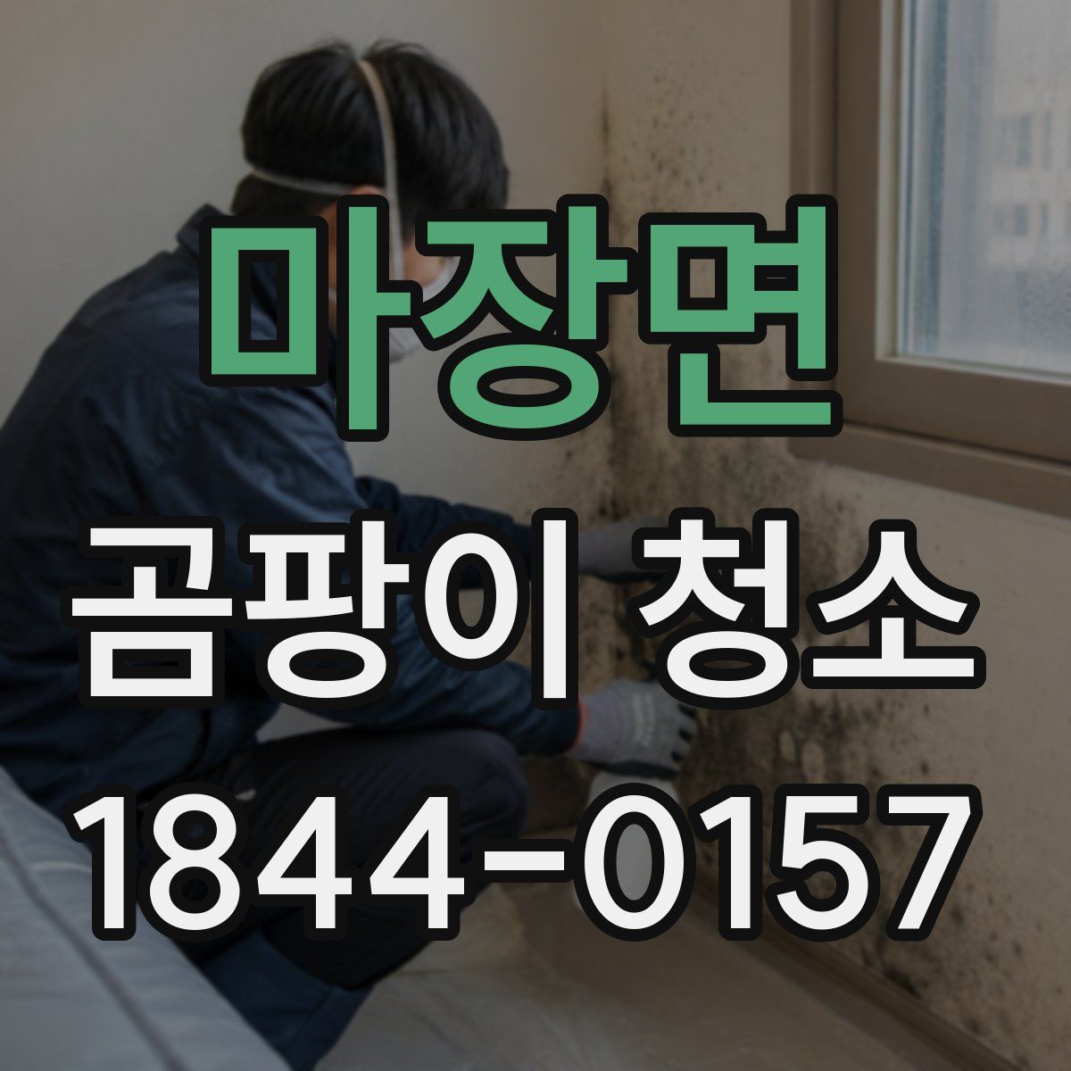 마장면 곰팡이 청소
