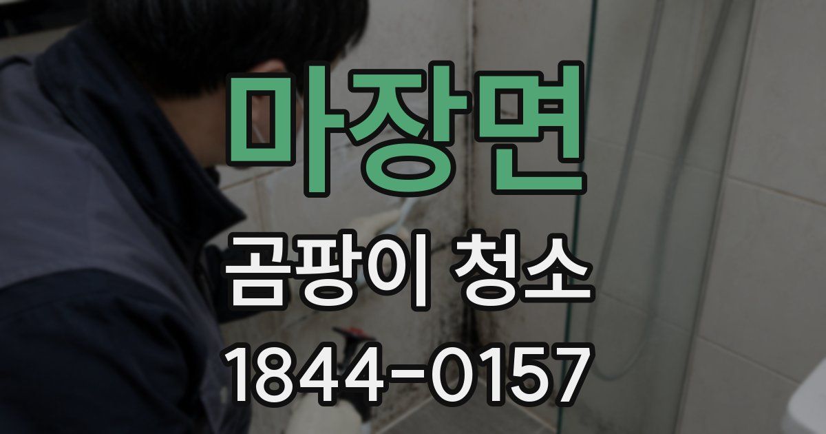 마장면 곰팡이 청소
