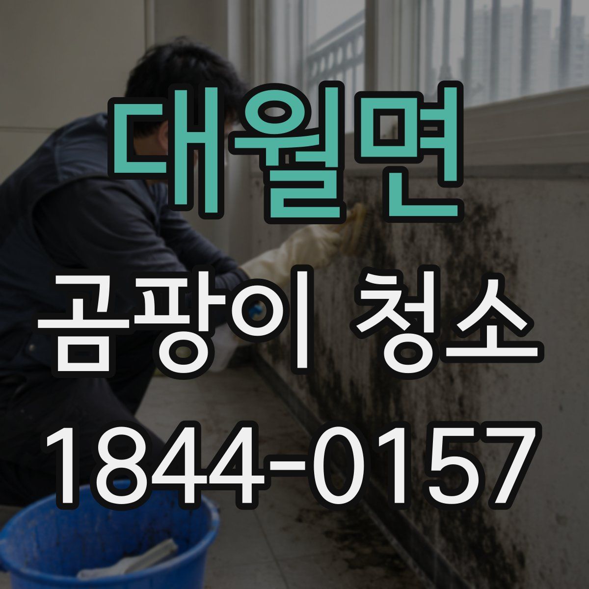 대월면 곰팡이 청소