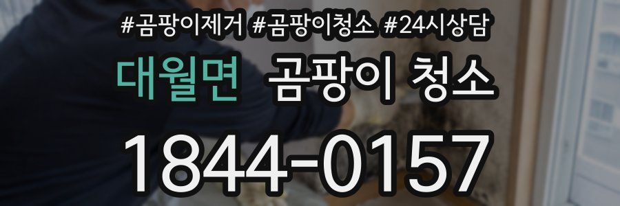 대월면 곰팡이 청소