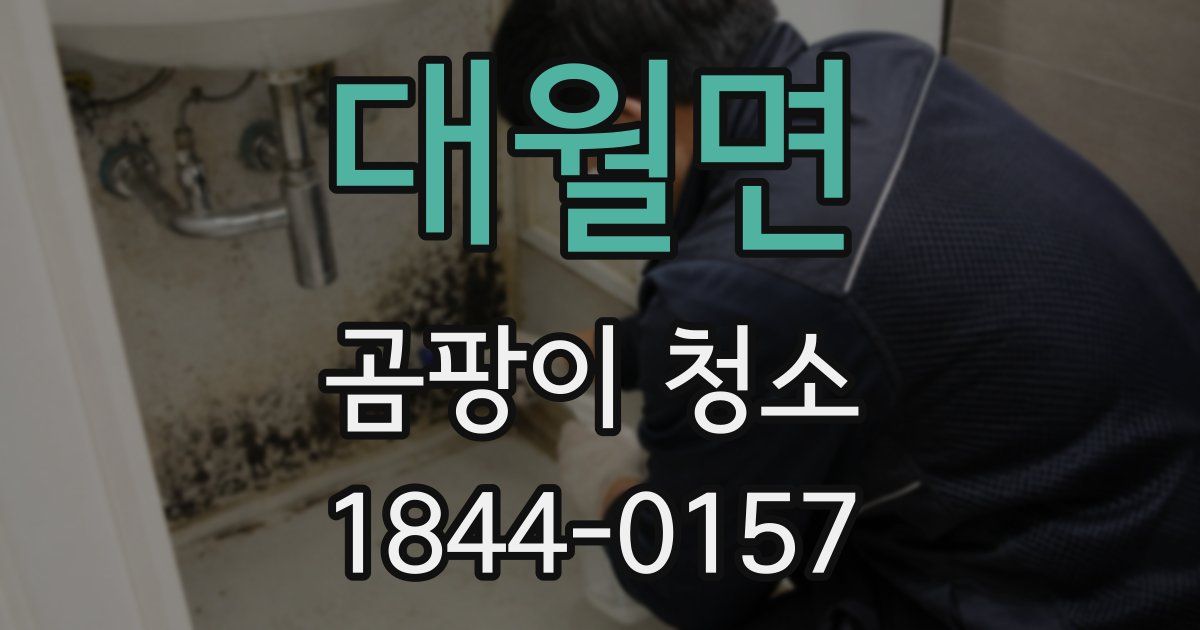 대월면 곰팡이 청소