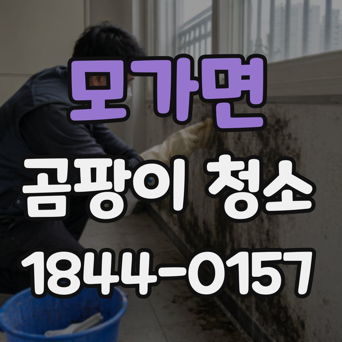 모가면 곰팡이 청소
