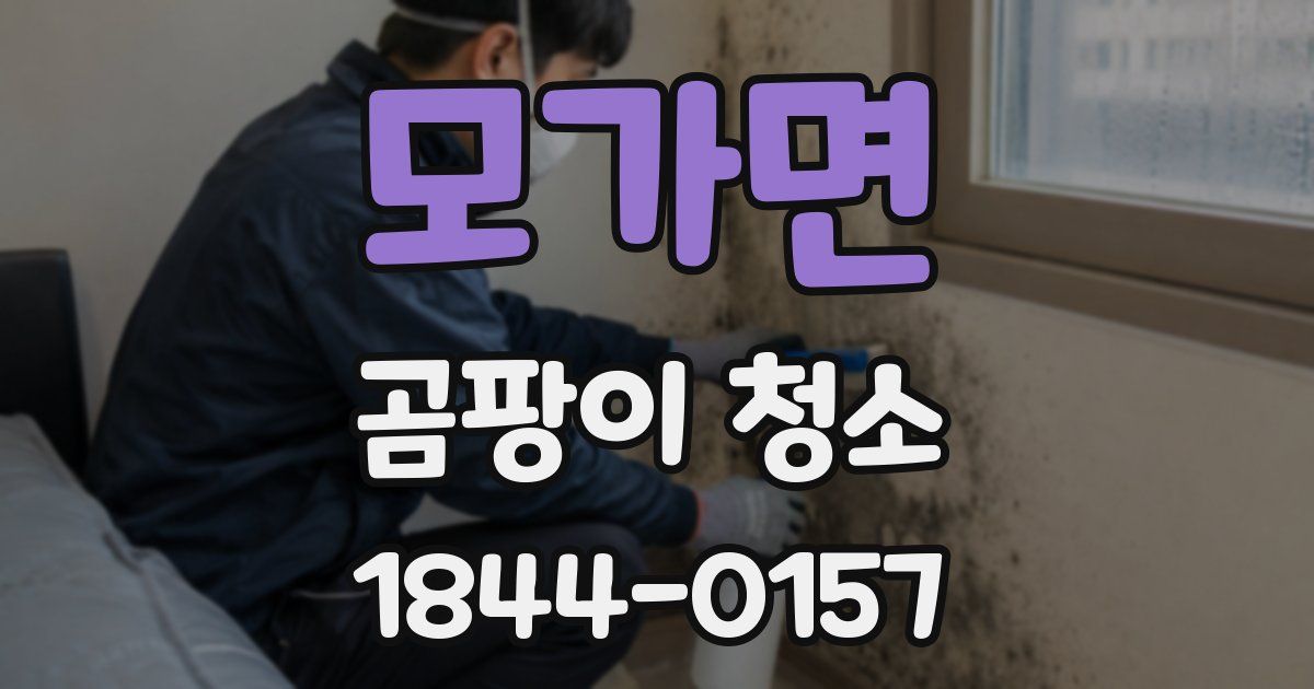 모가면 곰팡이 청소