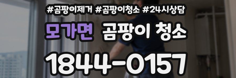 모가면 곰팡이 청소