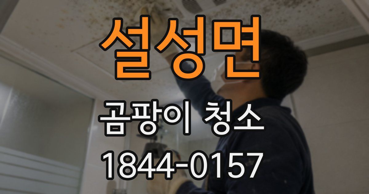 설성면 곰팡이 청소