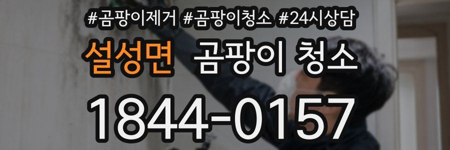 설성면 곰팡이 청소