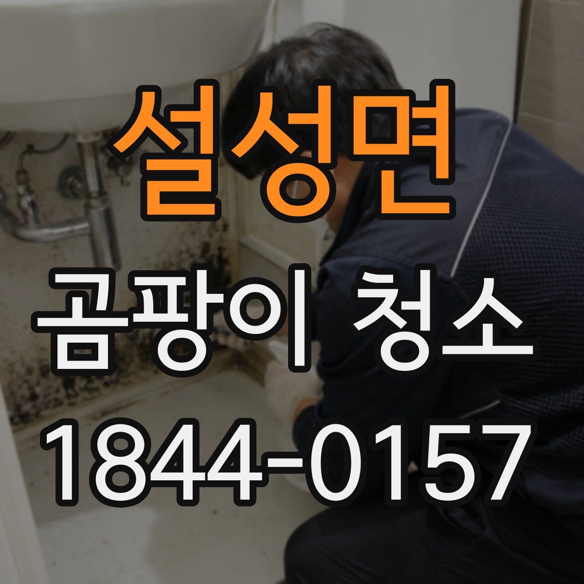 설성면 곰팡이 청소