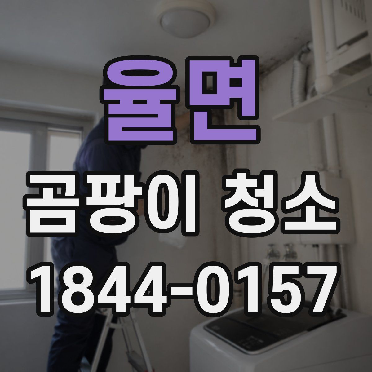율면 곰팡이 청소