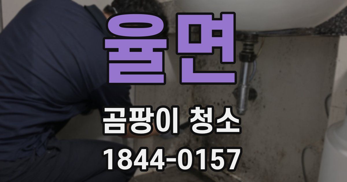 율면 곰팡이 청소
