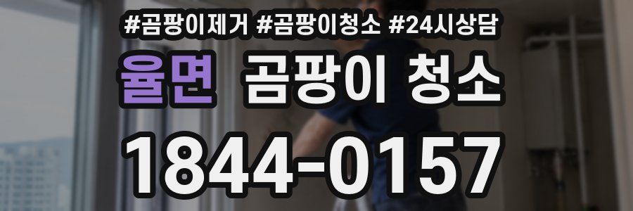 율면 곰팡이 청소