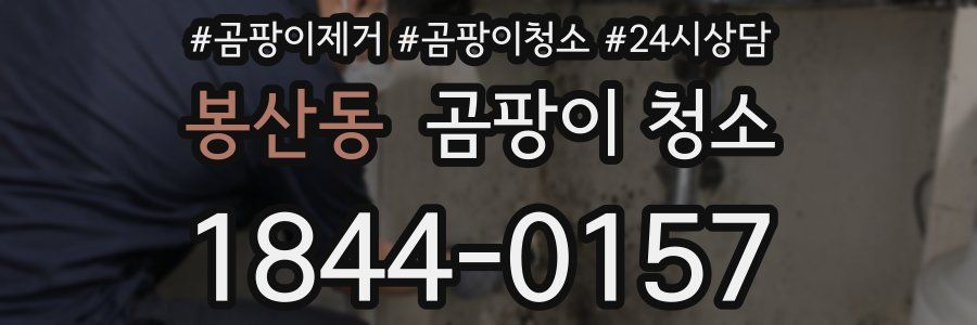 봉산동 곰팡이 청소