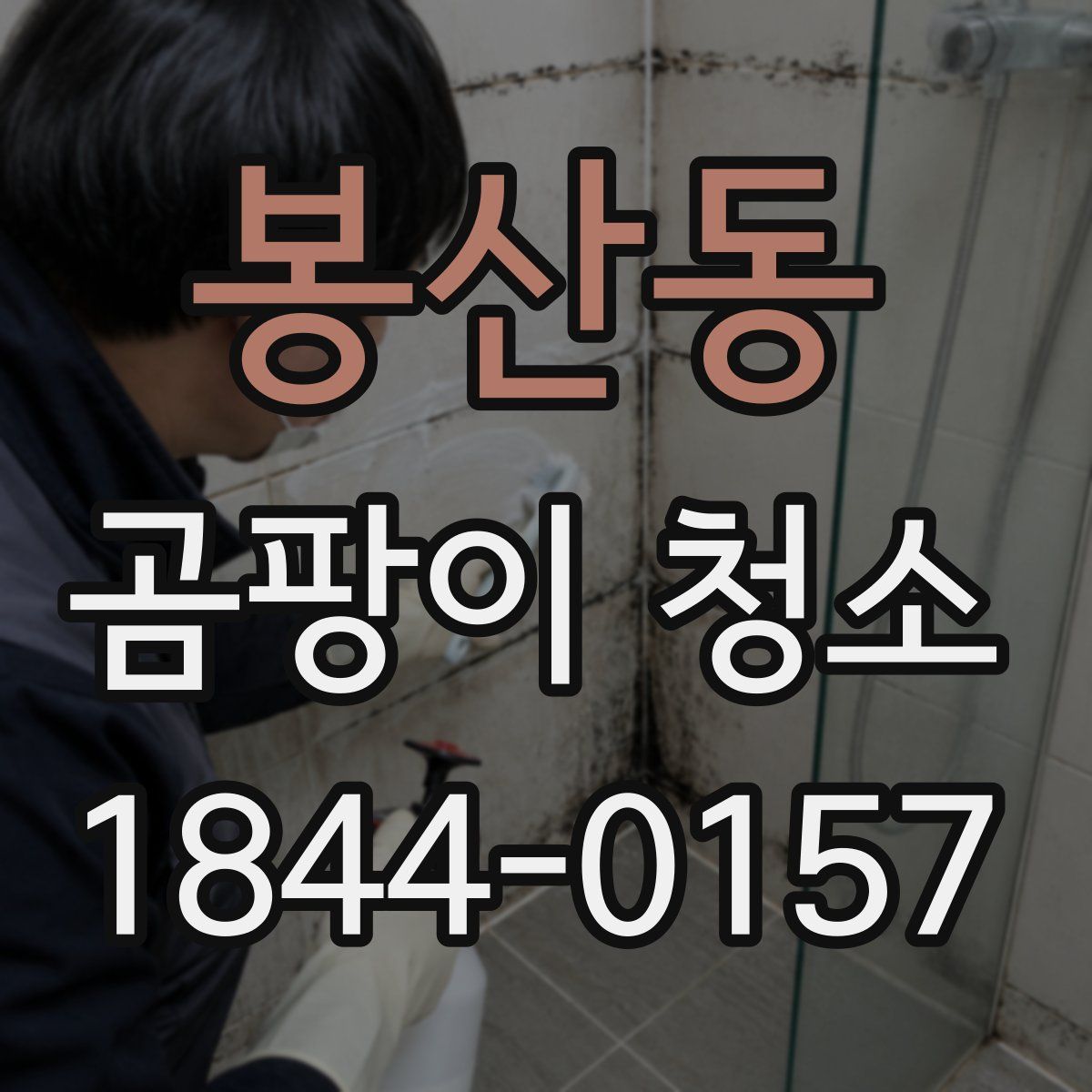 봉산동 곰팡이 청소