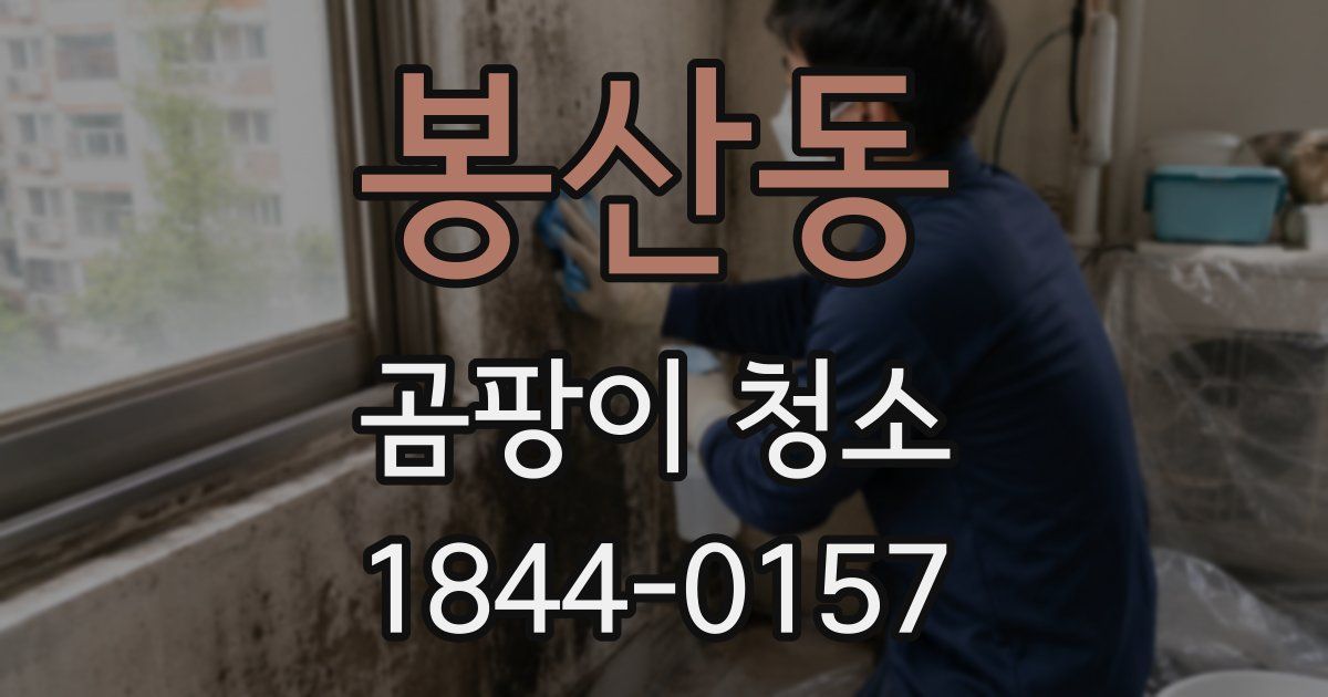 봉산동 곰팡이 청소