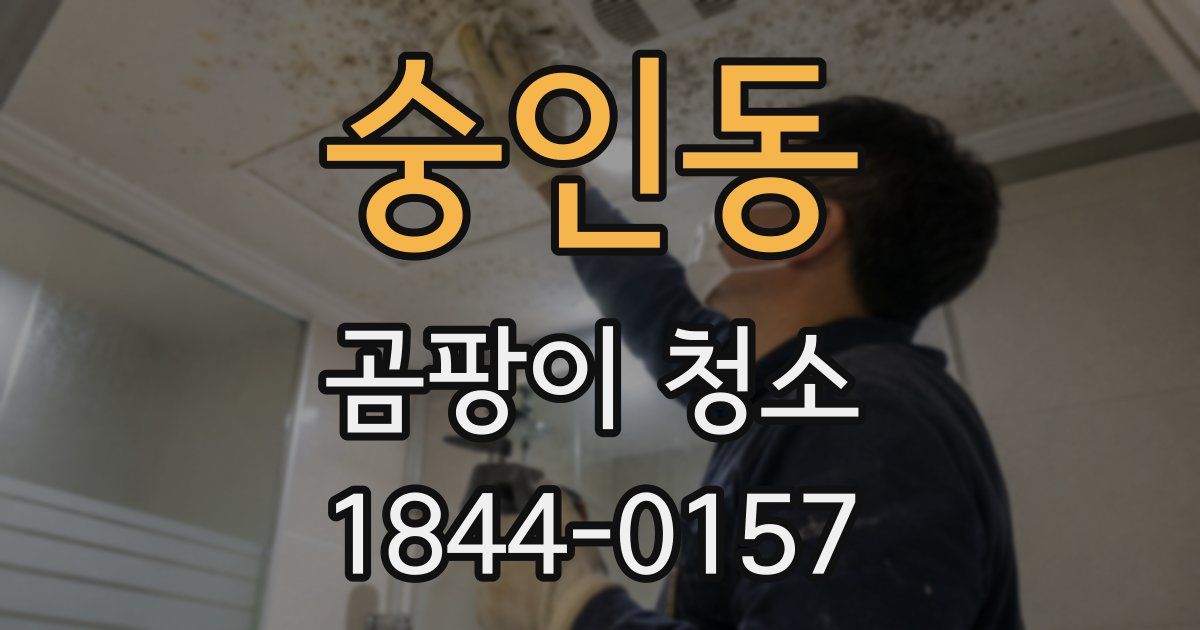 숭인동 곰팡이 청소