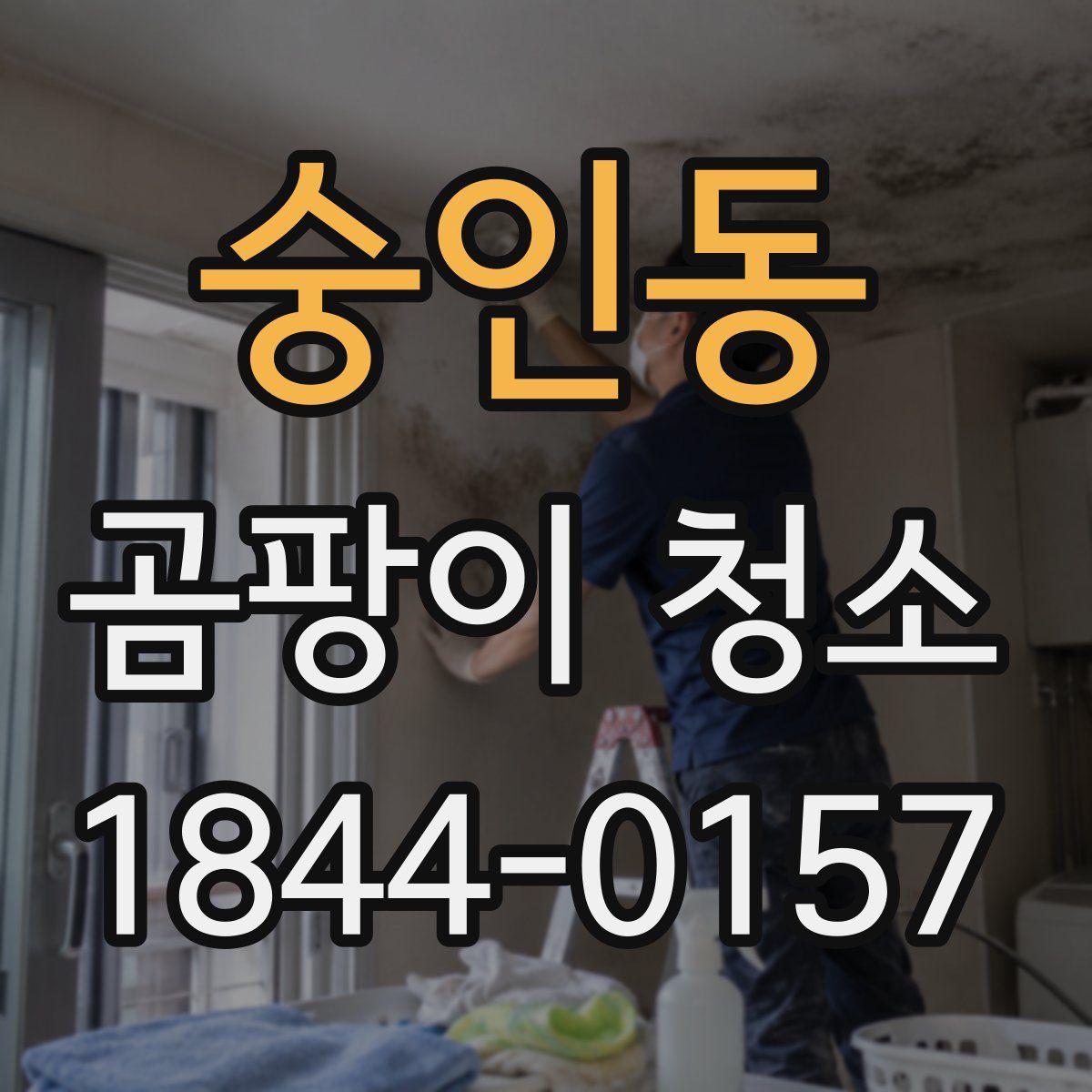 숭인동 곰팡이 청소
