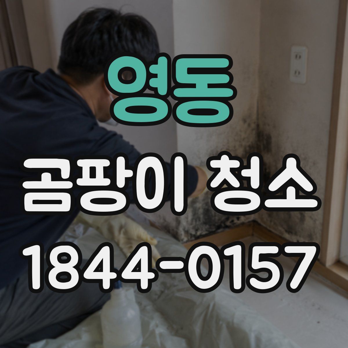 영동 곰팡이 청소
