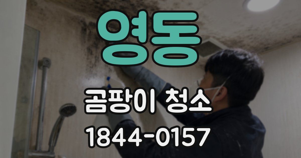영동 곰팡이 청소