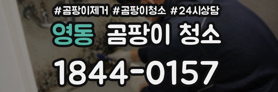 영동 곰팡이 청소