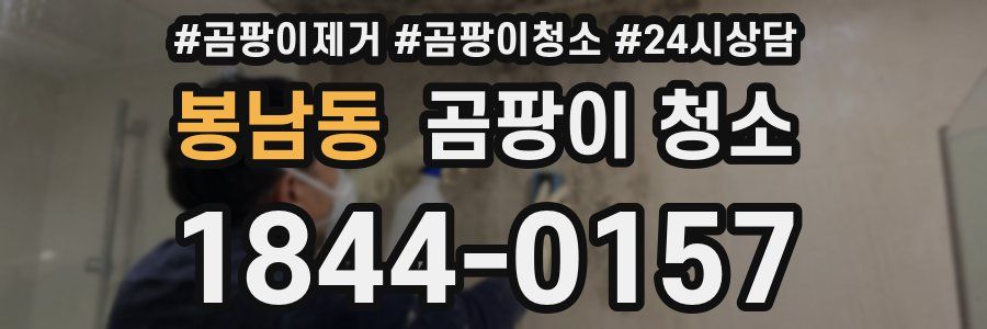 봉남동 곰팡이 청소