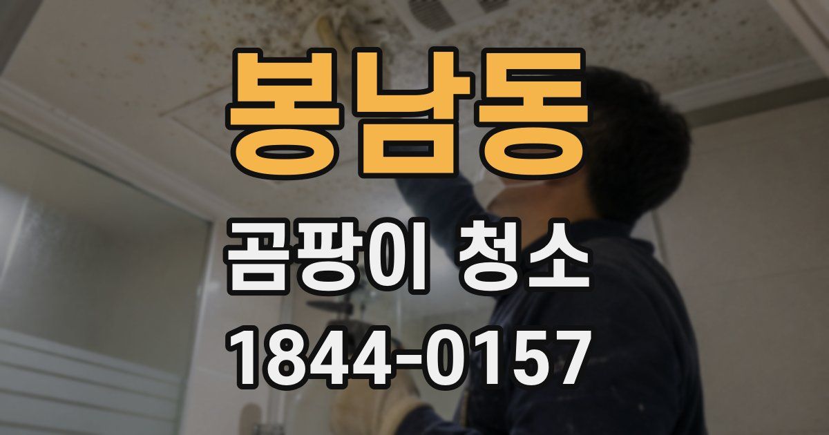 봉남동 곰팡이 청소