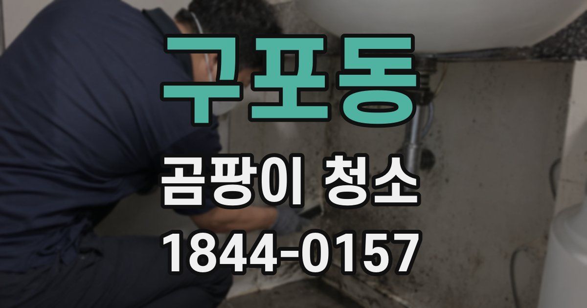 구포동 곰팡이 청소