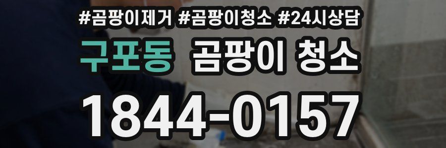 구포동 곰팡이 청소