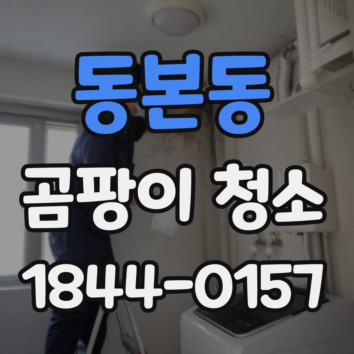 동본동 곰팡이 청소