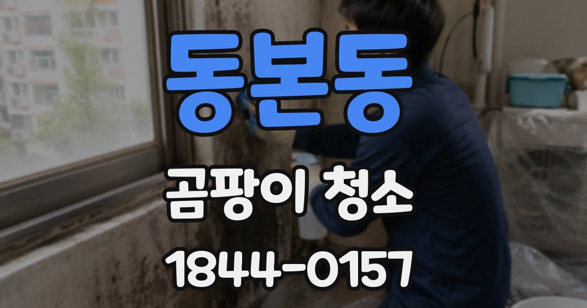 동본동 곰팡이 청소