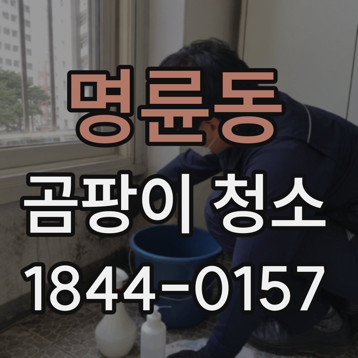명륜동 곰팡이 청소