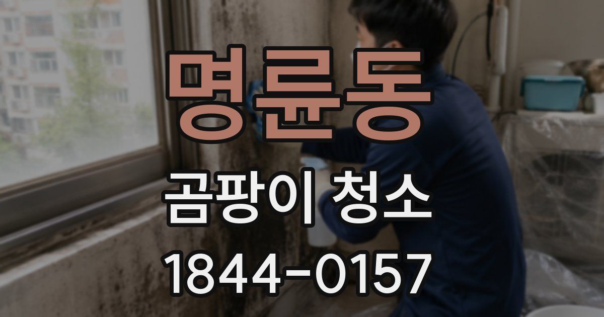 명륜동 곰팡이 청소
