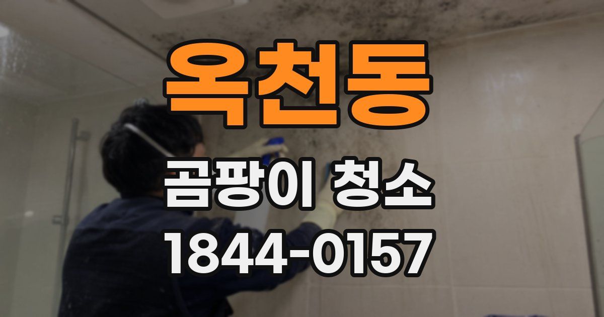 옥천동 곰팡이 청소