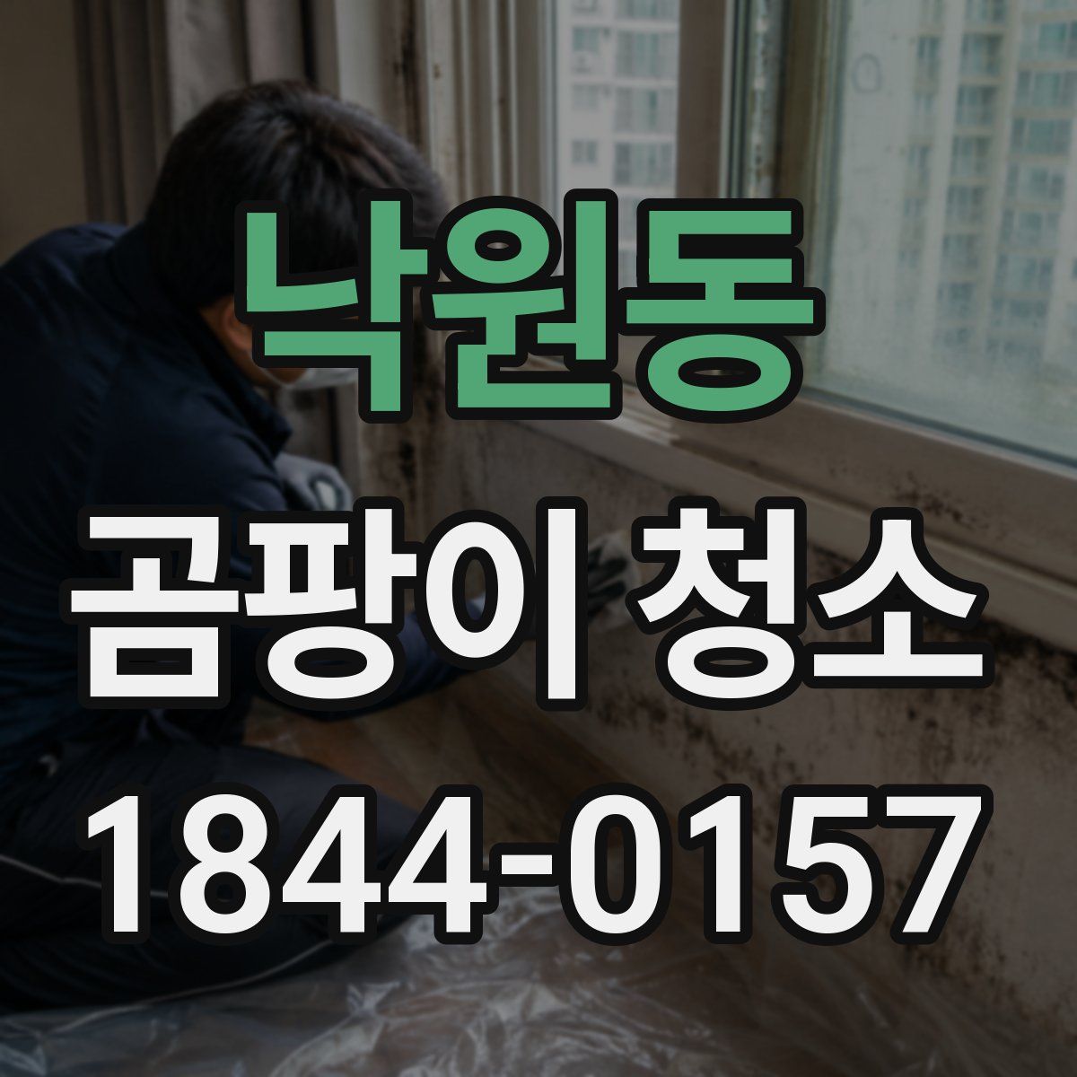 낙원동 곰팡이 청소