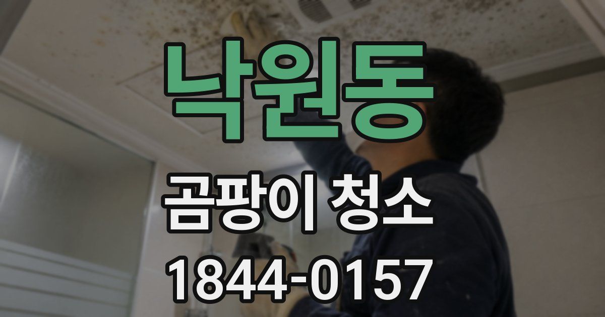 낙원동 곰팡이 청소