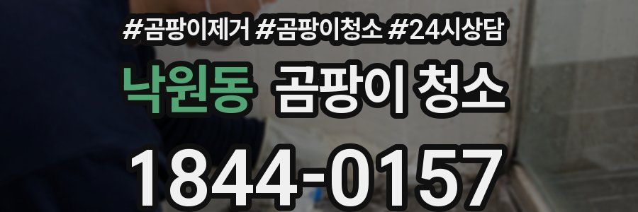 낙원동 곰팡이 청소