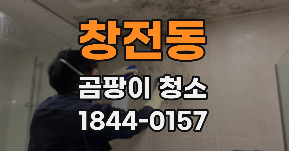 창전동 곰팡이 청소