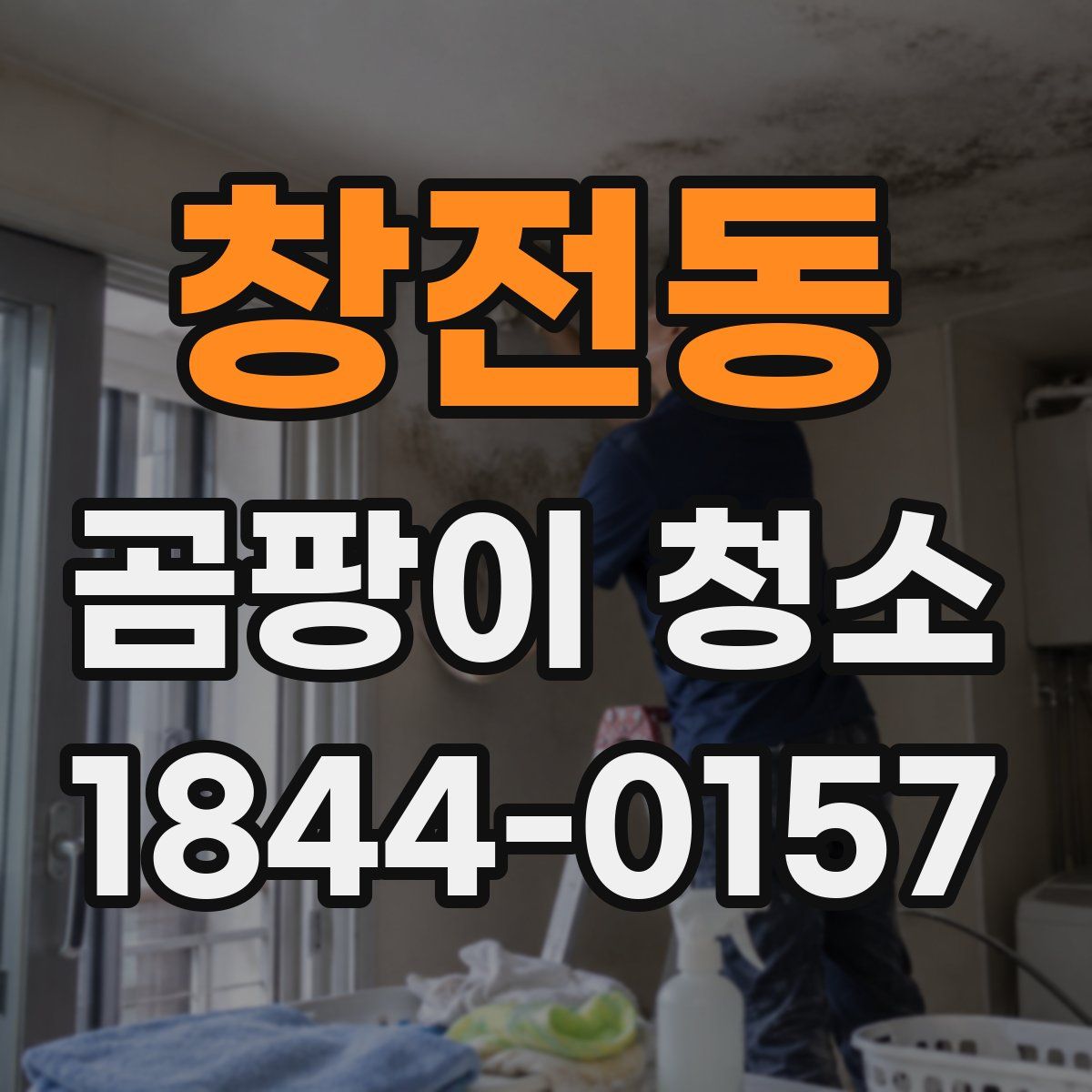 창전동 곰팡이 청소
