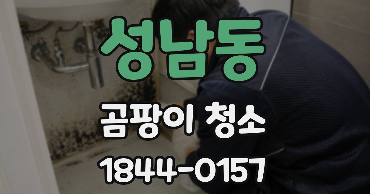 성남동 곰팡이 청소