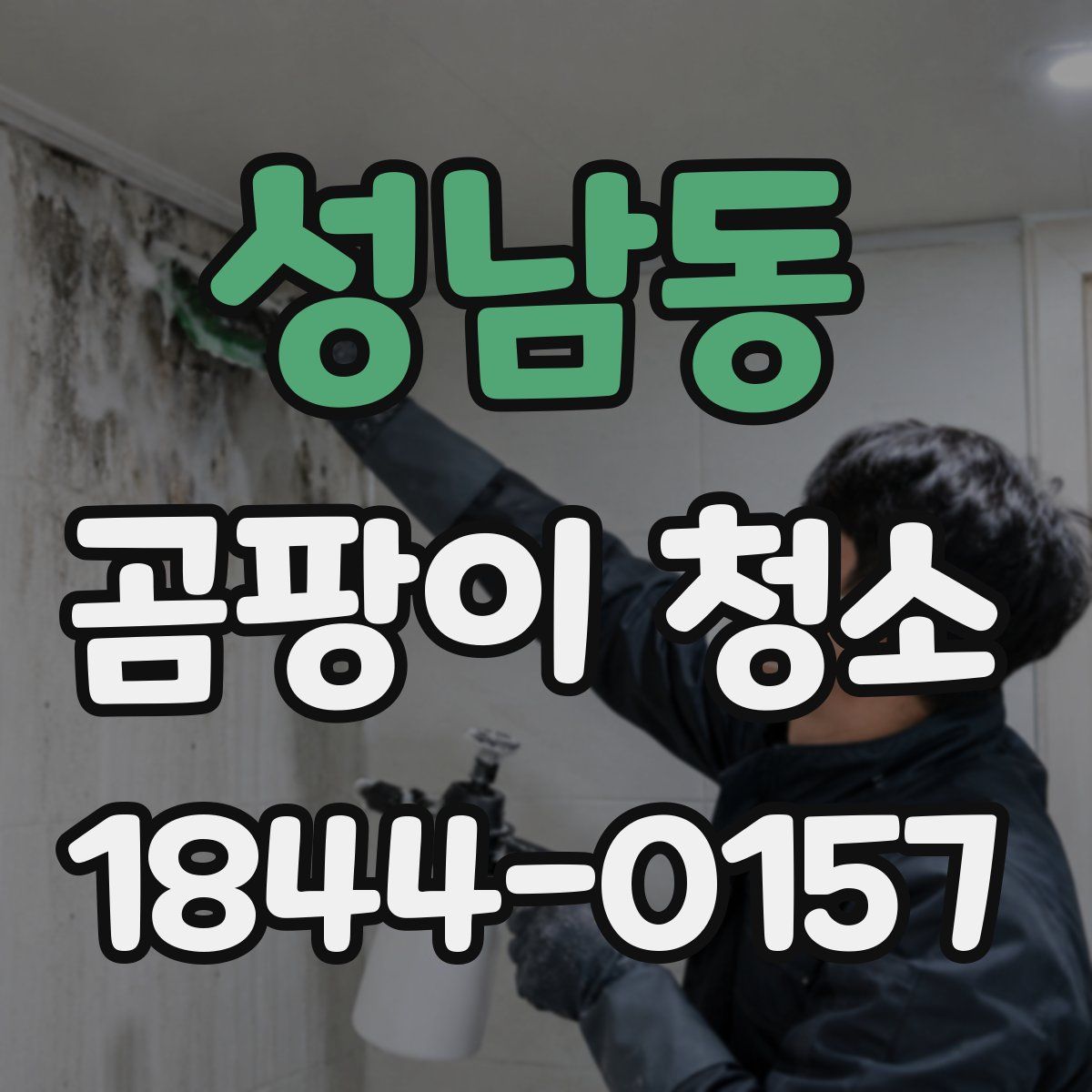 성남동 곰팡이 청소