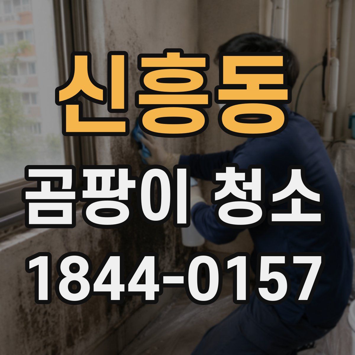 신흥동 곰팡이 청소