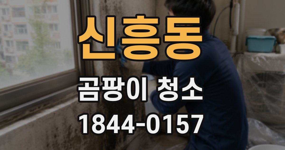 신흥동 곰팡이 청소