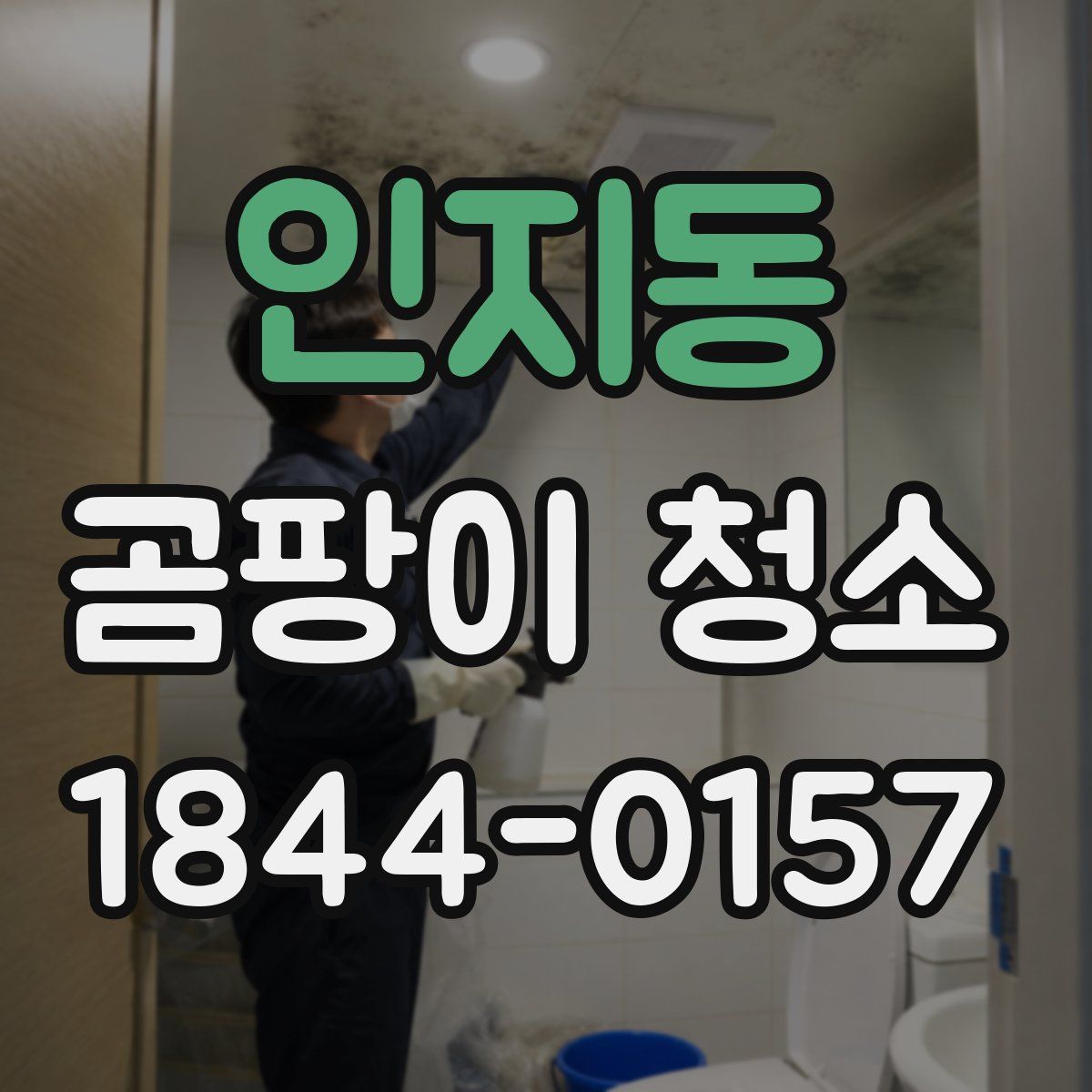 인지동 곰팡이 청소