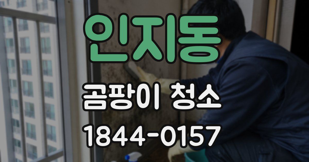 인지동 곰팡이 청소