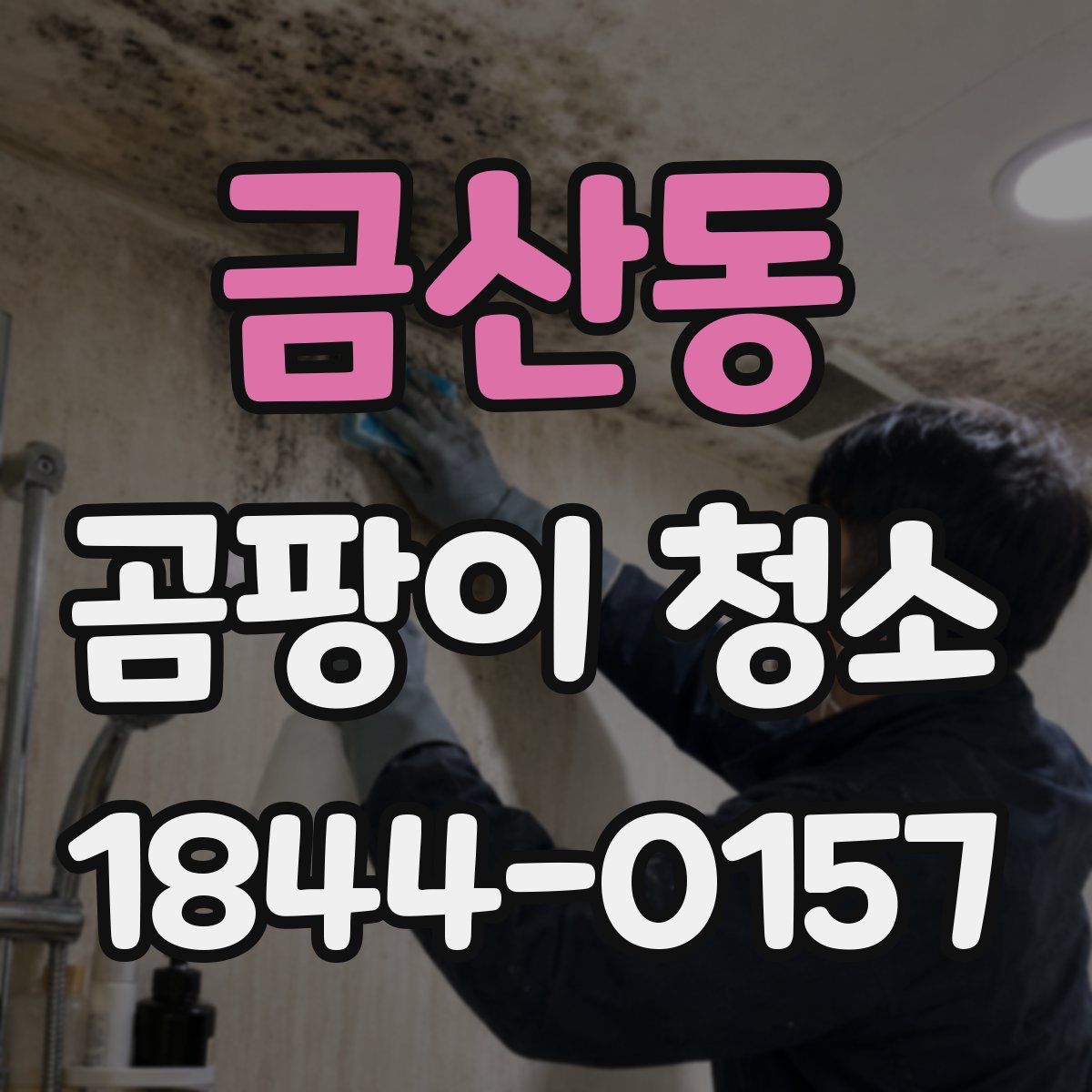 금산동 곰팡이 청소