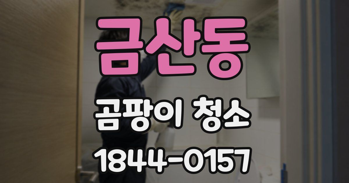 금산동 곰팡이 청소