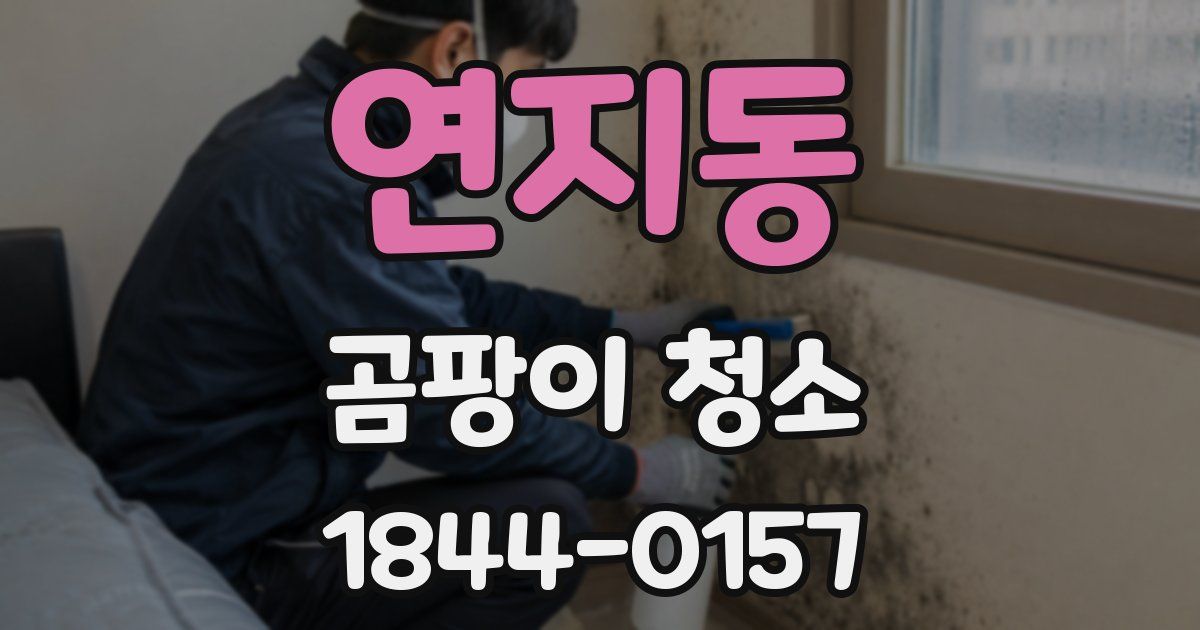 연지동 곰팡이 청소