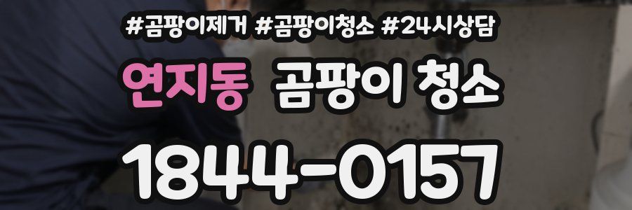 연지동 곰팡이 청소