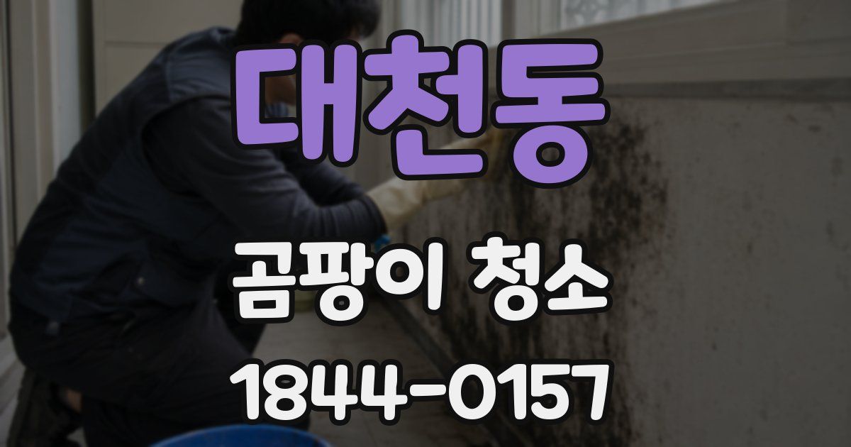 대천동 곰팡이 청소